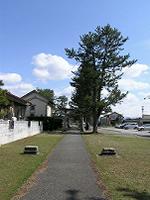 マウスクリックで拡大/縮小します