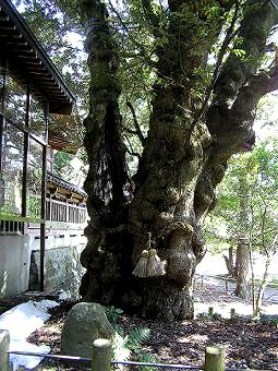 マウスクリックで拡大/縮小します