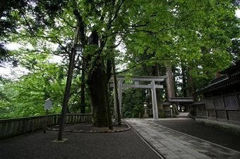 マウスクリックで拡大/縮小します