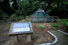 マウスクリックで拡大/縮小します