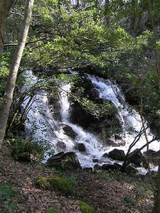 マウスクリックで拡大/縮小します