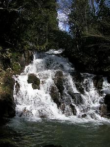 マウスクリックで拡大/縮小します