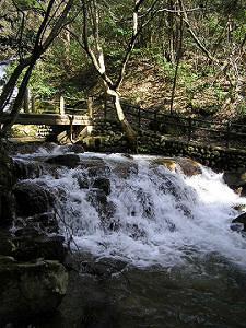 マウスクリックで拡大/縮小します