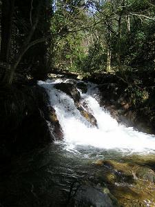 マウスクリックで拡大/縮小します