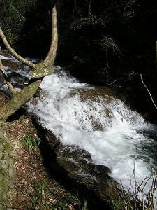 マウスクリックで拡大/縮小します