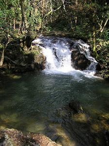 マウスクリックで拡大/縮小します