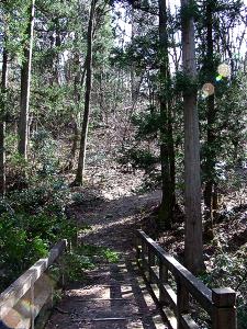 マウスクリックで拡大/縮小します