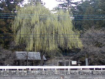 マウスクリックで拡大/縮小します