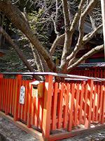 マウスクリックで拡大/縮小します