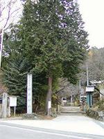 マウスクリックで拡大/縮小します