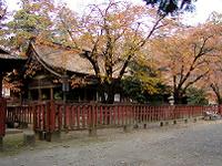 マウスクリックで拡大/縮小します