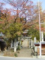 マウスクリックで拡大/縮小します