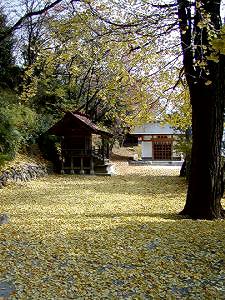 マウスクリックで拡大/縮小します