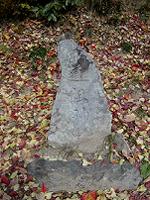 マウスクリックで拡大/縮小します