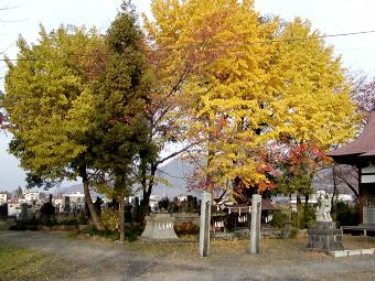 マウスクリックで拡大/縮小します