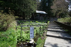 マウスクリックで拡大/縮小します