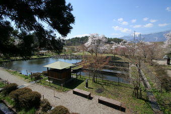 マウスクリックで拡大/縮小します