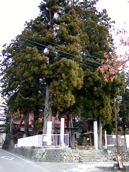 マウスクリックで拡大/縮小します