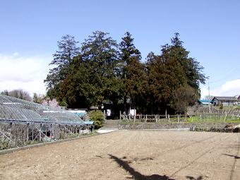 マウスクリックで拡大/縮小します