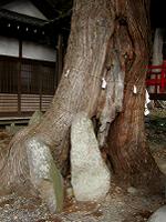 マウスクリックで拡大/縮小します