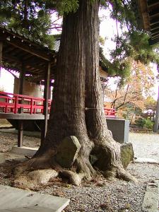 マウスクリックで拡大/縮小します