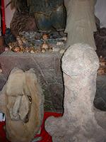 マウスクリックで拡大/縮小します