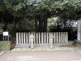 マウスクリックで拡大/縮小します