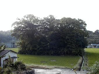 マウスクリックで拡大/縮小します