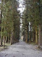 マウスクリックで拡大/縮小します