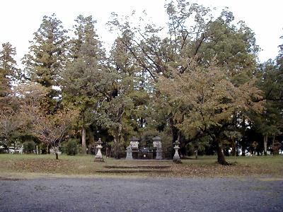 マウスクリックで拡大/縮小します