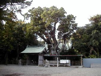 マウスクリックで拡大/縮小します