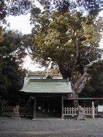 マウスクリックで拡大/縮小します