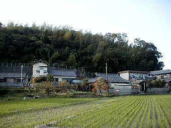 マウスクリックで拡大/縮小します