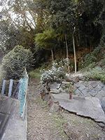 マウスクリックで拡大/縮小します