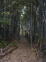 マウスクリックで拡大/縮小します