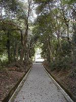 マウスクリックで拡大/縮小します