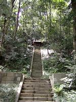 マウスクリックで拡大/縮小します