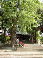 マウスクリックで拡大/縮小します