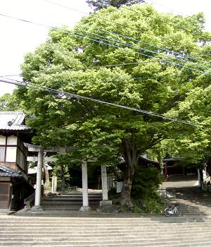 マウスクリックで拡大/縮小します