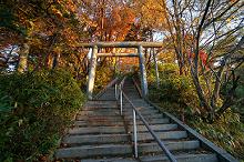 マウスクリックで拡大/縮小します