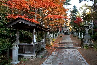 マウスクリックで拡大/縮小します