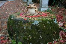 マウスクリックで拡大/縮小します