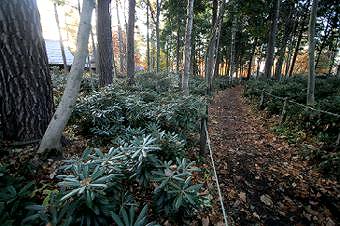 マウスクリックで拡大/縮小します