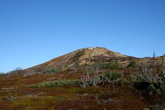 マウスクリックで拡大/縮小します