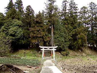 マウスクリックで拡大/縮小します