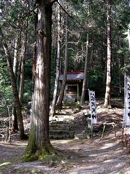 マウスクリックで拡大/縮小します