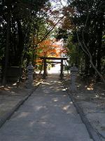 マウスクリックで拡大/縮小します