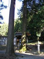 マウスクリックで拡大/縮小します