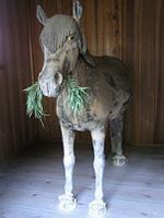 マウスクリックで拡大/縮小します