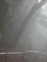 マウスクリックで拡大/縮小します